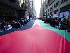 People take part in a demonstration in support of Palestine, in Toronto, Sunday, Nov. 12, 2023.