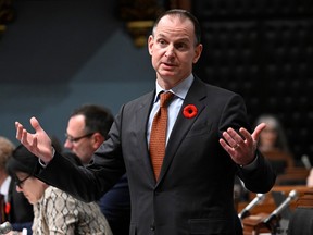 Eric Girard gestures while speaking in the National Assembly