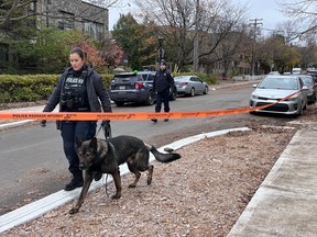 A police officer and their dog walk around a crime scene.