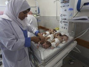Medical staff care for prematurely born Palestinian babies that were brought from Shifa Hospital in Gaza City to the hospital in Rafah, Gaza Strip, Sunday, Nov. 19, 2023.