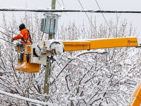 A Hydro worker on a ladder fixes snow-covered wires