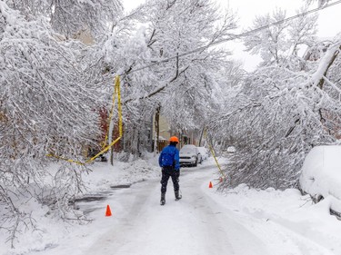 A person in an orange hard hat walks down a snow-covered street between fallen branches with yellow caution tape on them