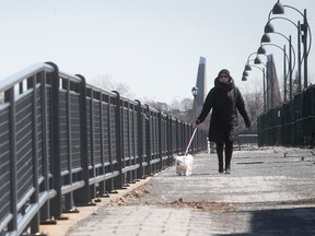 A woman walks her dog on cold morning at the Old Port on April 23, 2020.