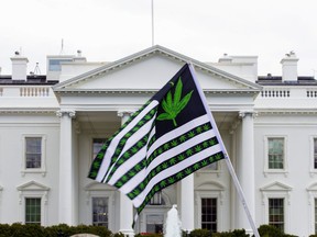 A demonstrator waves a flag with cannabis leaves depicted on it during a protest calling for the legalization of cannabis, outside of the White House on April 2, 2016, in Washington.