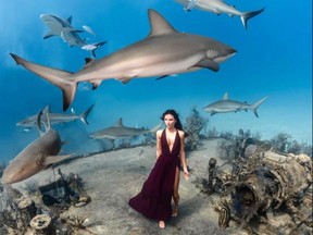 Kim Bruneau accompanied by sharks on the sea floor in Nassau, Bahamas.