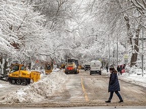 A woman crosses a snowplowed street. There is snow on the trees and several snow-clearing trucks in the background.