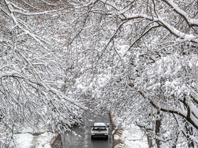 A white car is seen from above through white, snow-covered trees.