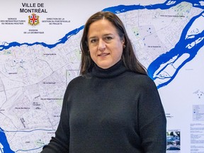 Isabelle Beaulieu was fired last month as head of Montreal's public consultation office. Her replacement won't begin until Jan. 22.