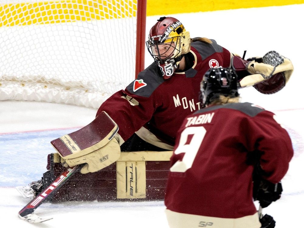 Photos: Montreal PWHL Home Opener | National Post