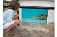 aquarium, boy, sea turtle