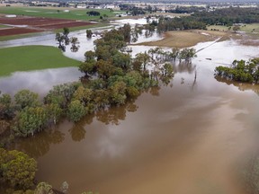 Farm land is flooded near Bendigo, Australia, Monday, Jan. 8, 2024.
