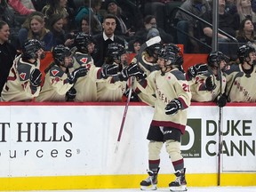 A female hockey player high-fives her teammates on the bench after scoring a goal