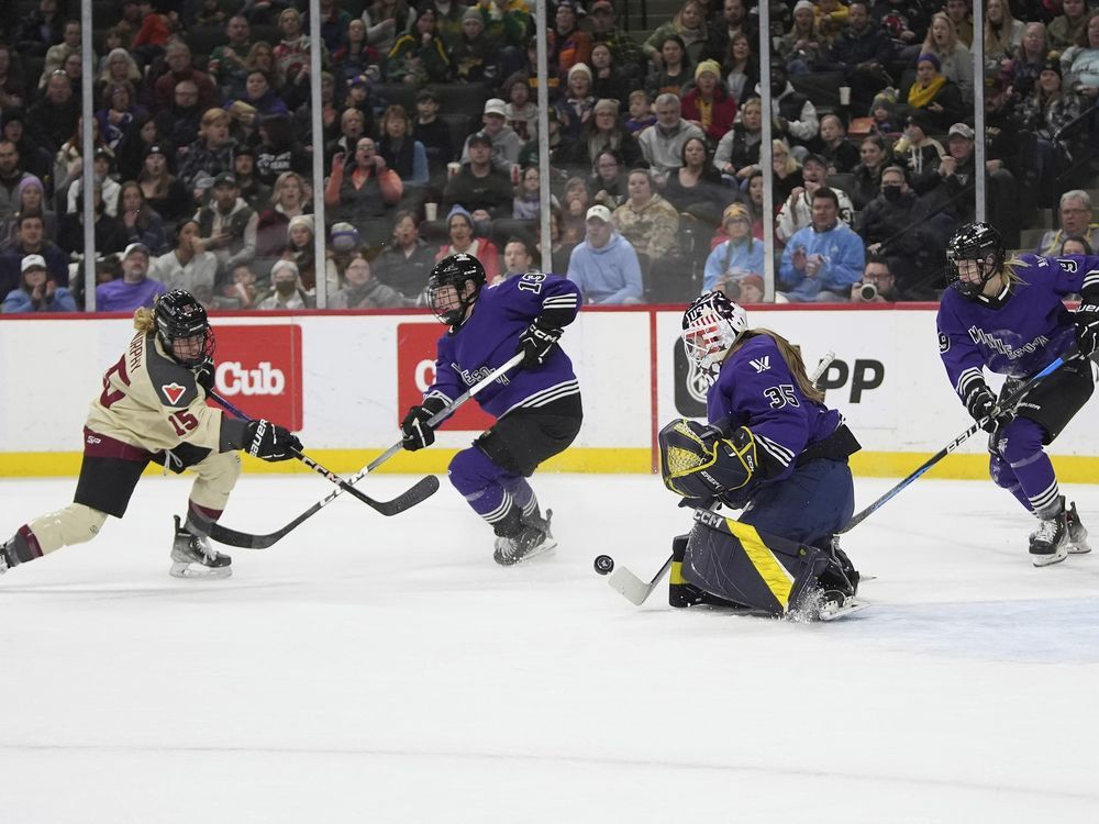 PWHL Game Sets Attendance Record With More Than 13,000 Fans | Montreal ...