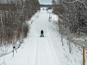 A snowmobiler drives on a path through the trees.