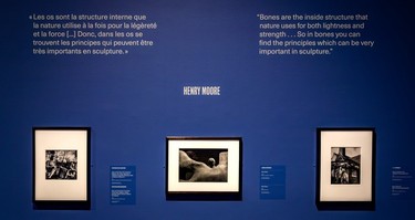 Photographs of Henry Moore.