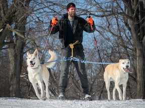 A man hold ski poles and is led by two dogs who are attached by a leash at his belt.