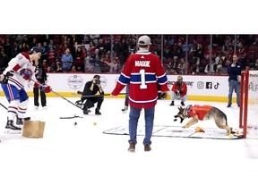 Maggie the goalie stops a shot by Canadiens' Juraj Slafkovsky (20) during the Canadiens' annual Skills Competition in Montreal, on Sunday, Feb. 25, 2024. Maggie has become a YouTube star as she does not react to anything thrown at her but a hockey puck.