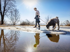 A man and a dog walk past a large puddle under the sun
