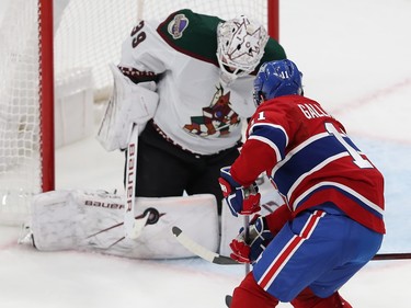 Coyotes goalie Connor Ingram makes a pad save on Canadiens' Brendan Gallagher