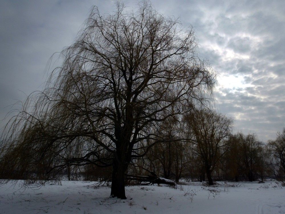 Montreal weather Grey and gloomy Montreal Gazette