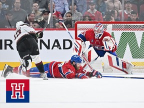A hockey player shoots over a diving defender as the goalie shapes to make a save