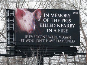 A digital billboard in the 800-block of Division Road in Windsor is shown on Tuesday, Feb. 27, 2024. PETA purchased the space as a memorial to pigs killed in a fiery truck crash recently.