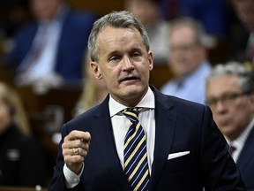 Labour Minister Seamus O'Regan rises during question period in the House of Commons on Parliament Hill in Ottawa on Monday, Nov. 27, 2023.