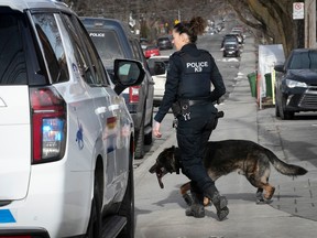 A police officer with a dog cross in front of a police vehicle.