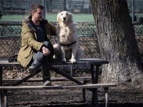 A man and a dog sit at a picnic table in a park.