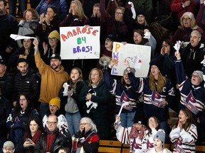 Fans cheers for Montreal during the PWHL home opener against Boston at the Verdun Auditorium in Montreal on Jan. 13, 2024.