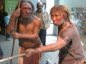 Reconstruction of a Neanderthal man and woman from the Neanderthal Museum.