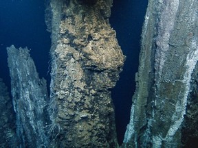 An image of the sea floor at the Endeavour segment of the Juan de Fuca Ridge is shown in a handout photo.