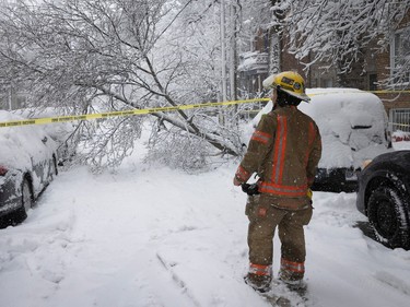 A firefighter stands on a sidewalk near a fallen, snow-covered tree. There is tape preventing people from using part of the sidewalk.