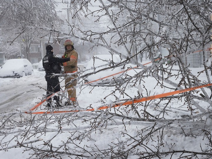 Montreal police and firefighters used orange tape to mark fallen, snow-covered trees at Jean-Talon Blvd. and 8th Ave., April 4, 2024.