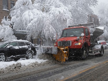 A plow clears the road beside a large, snow-covered tree on a residential street.