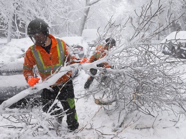 Men in orange jackets remove fallen, snow-covered tree branches.
