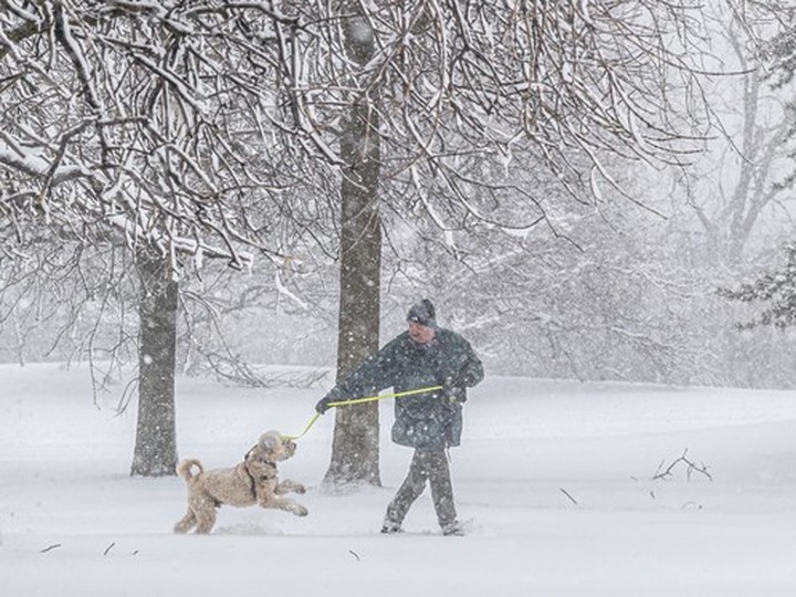 Robin Simard and his dog, Teal'c, have a little play time near Dieppe Park in Montreal April 4, 2024. 