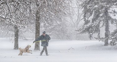 A man and dog walk and play in the snow at a park.