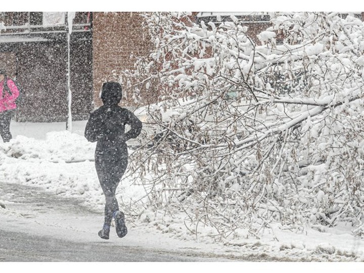 A runner passes a downed tree on Atwater Ave. during a snowstorm in Montreal April 4, 2024. 