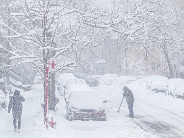 A person shovels snow next to a row of parked cars on a residential street during a storm