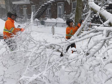 Men in orange jackets remove fallen, snow-covered tree branches.