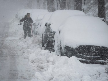 A person clears snow off one car in a row of vehicles parked on a residential street.