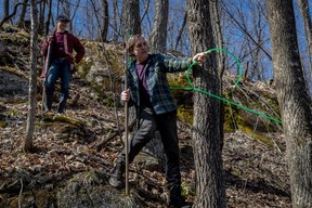 Maple syrup producer Patrice Plouffe, right, and partner Clara Bonnes remove taps from the maple trees at La Ferme du loup in St-Paulin, Quebec, on April 9. Plouffe doesn't see his operation going electric. Dave Sidaway / Montreal Gazette