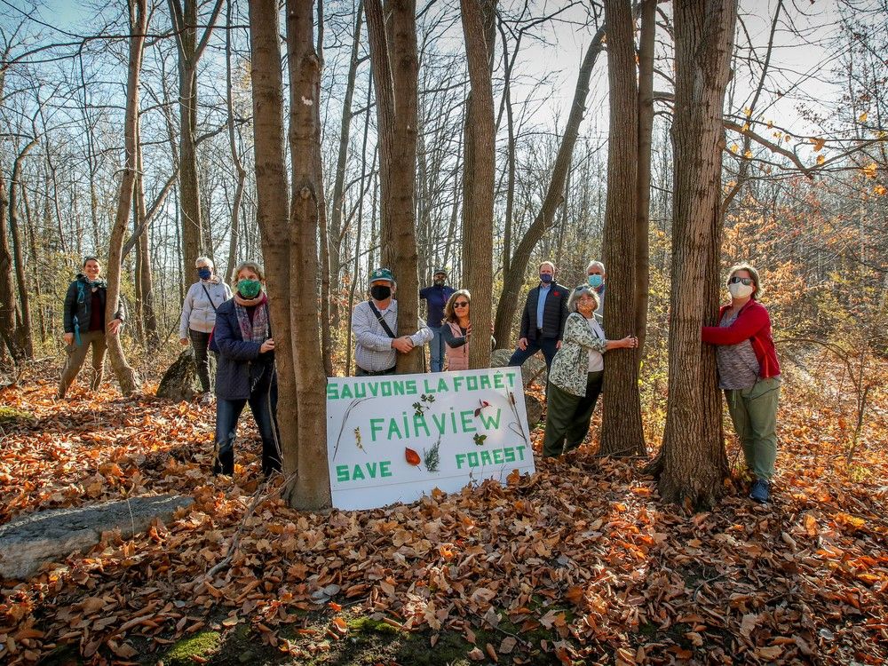 Trade union federation joins fight to save three endangered woodlands