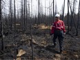 A worker walks through a burned-out forest