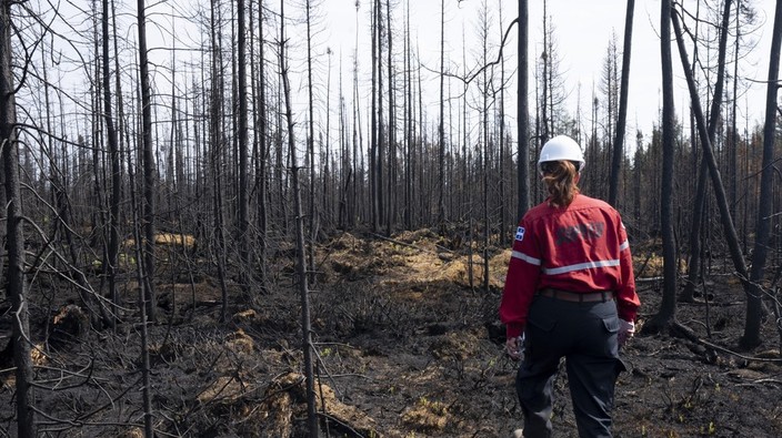 Canada and Quebec are preparing for another heavy forest fire season