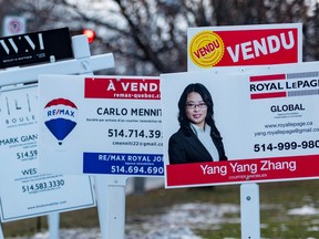 Many for-sale signs on a piece of land.