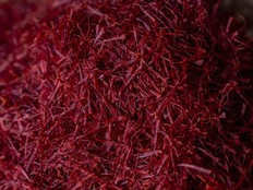 Dried stigmas of the crocus flowers are grouped together after being separated from the petals.
