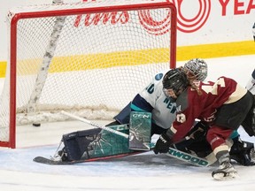 Two women are seeing playing hockey, one in front of a net on the ice trying to block the other from scoring.