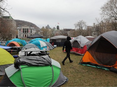 Dozens of tents are visible on a lawn downtown